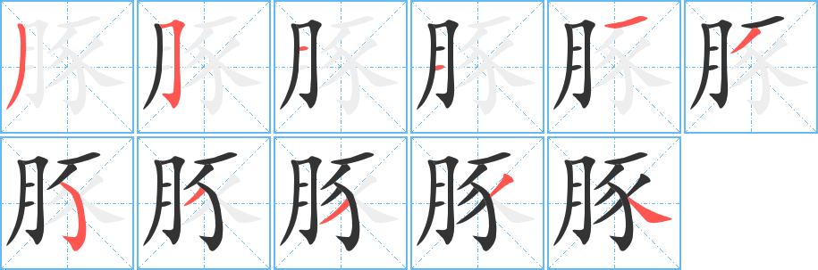豚字的笔顺笔画分步演示