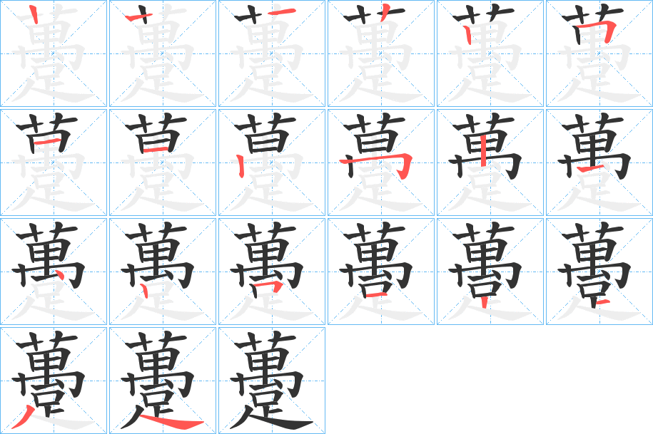 躉字的笔顺笔画分步演示
