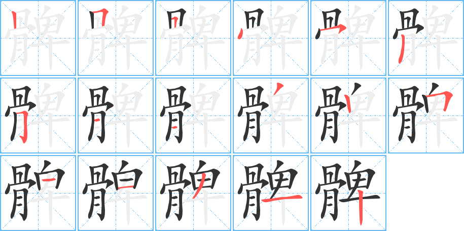 髀字的笔顺笔画分步演示
