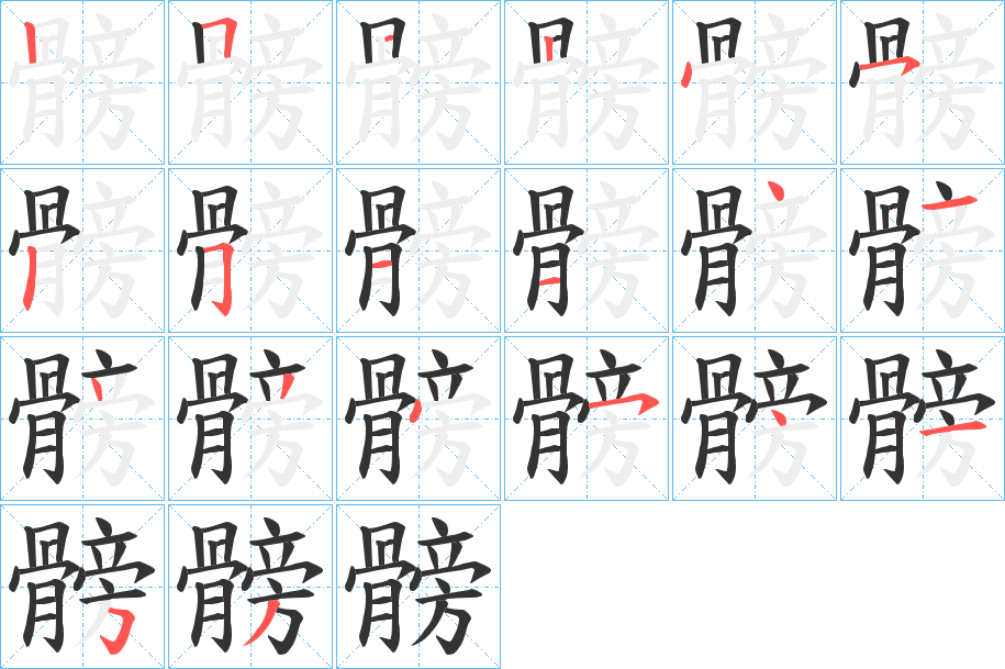 髈字的笔顺笔画分步演示