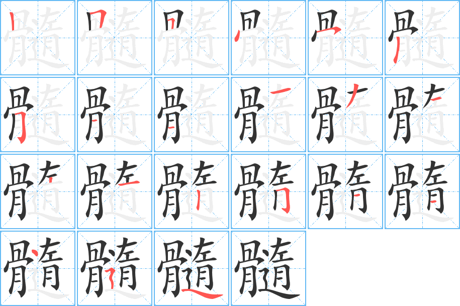 髓字的笔顺笔画分步演示