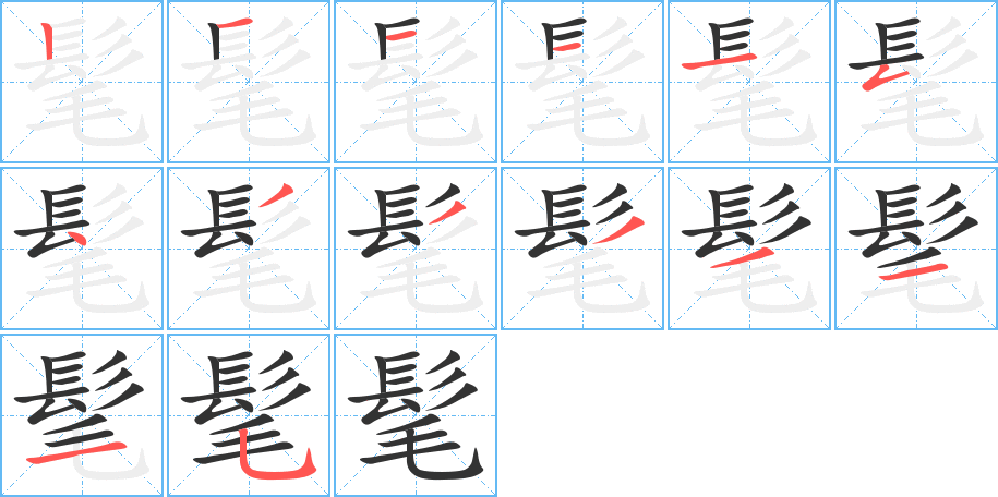 髦字的笔顺笔画分步演示
