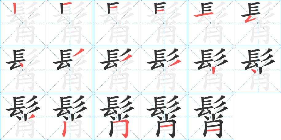 髾字的笔顺笔画分步演示
