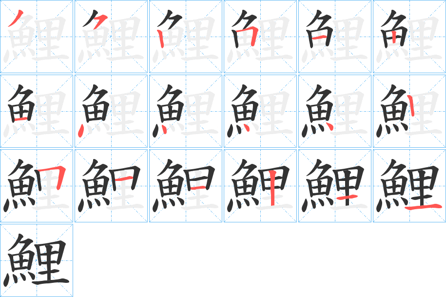 鯉字的笔顺笔画分步演示