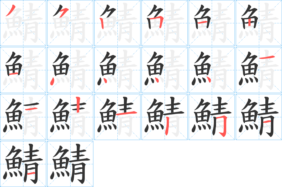 鯖字的笔顺笔画分步演示