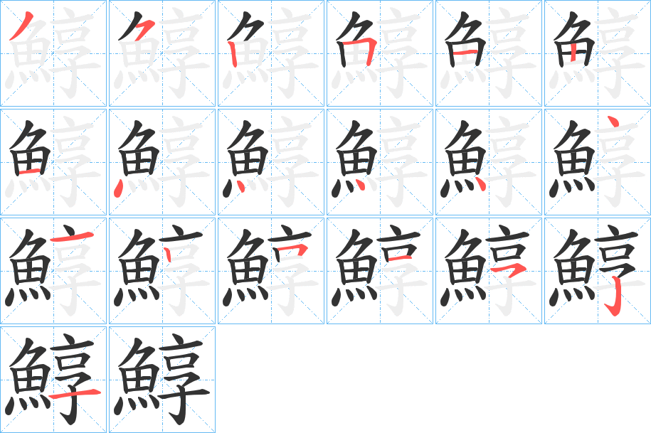 鯙字的笔顺笔画分步演示