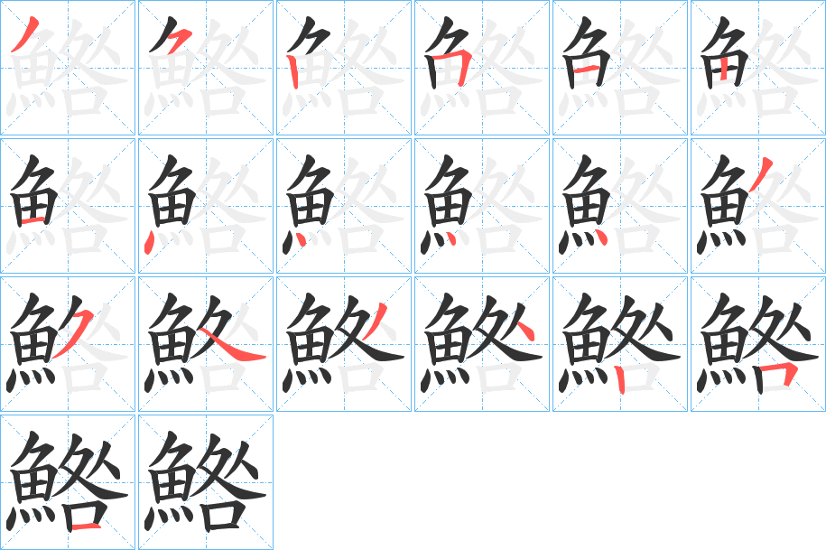 鯦字的笔顺笔画分步演示