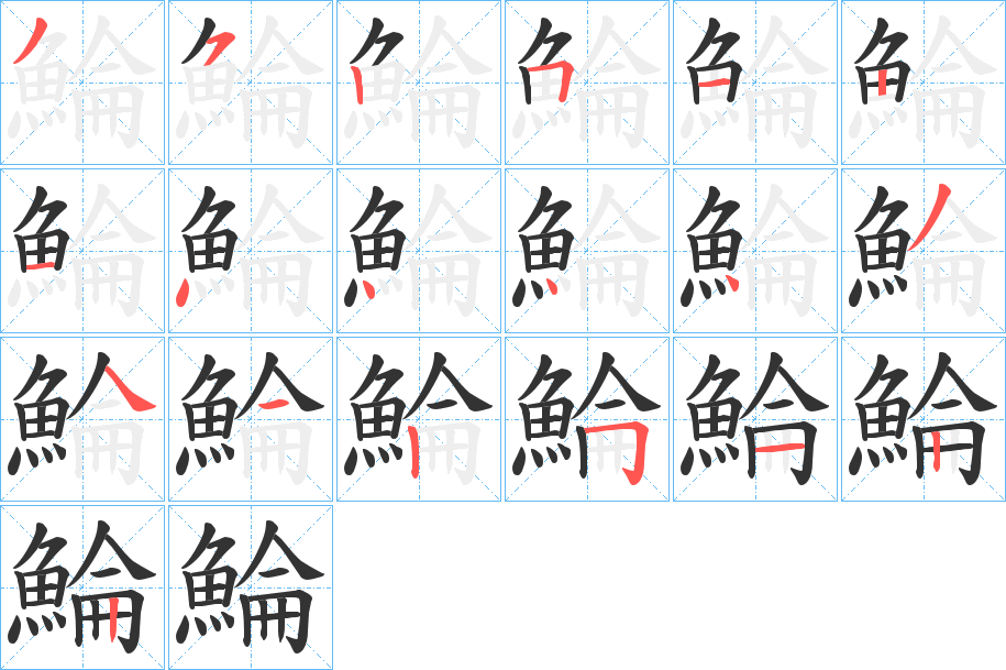 鯩字的笔顺笔画分步演示