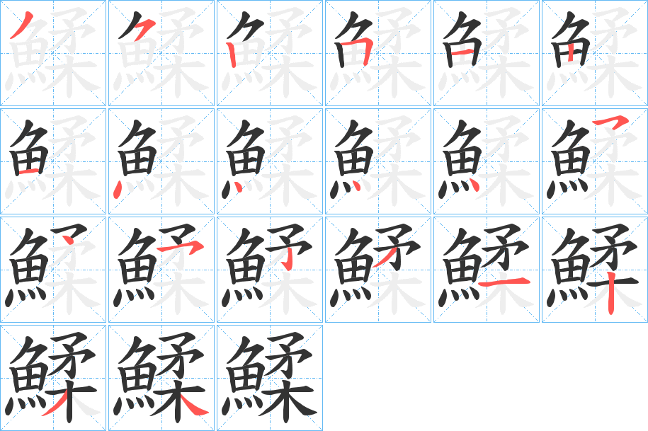 鰇字的笔顺笔画分步演示