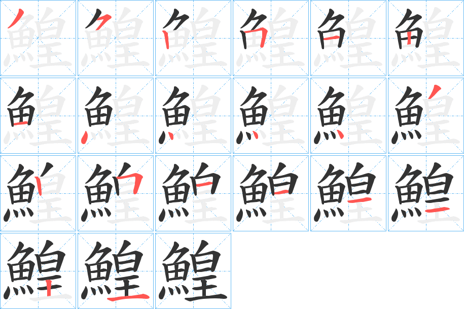 鰉字的笔顺笔画分步演示