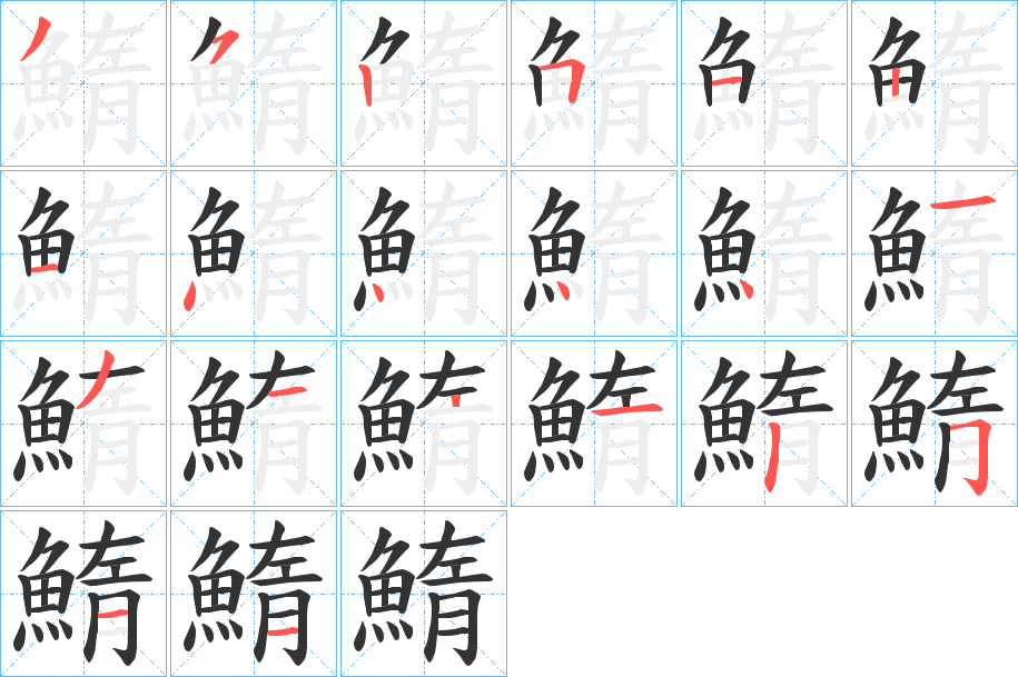 鰖字的笔顺笔画分步演示