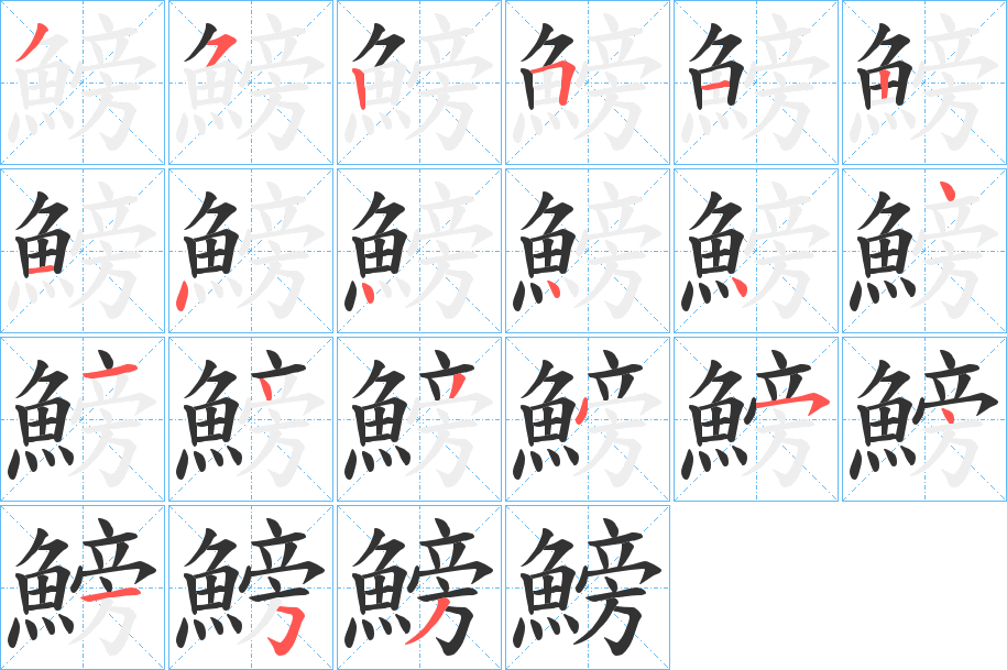 鰟字的笔顺笔画分步演示