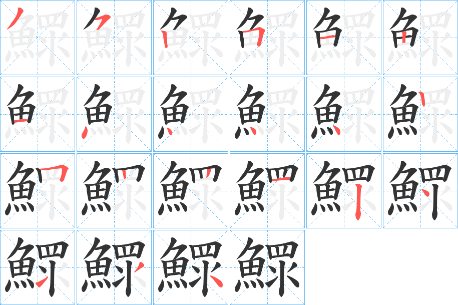 鰥字的笔顺笔画分步演示