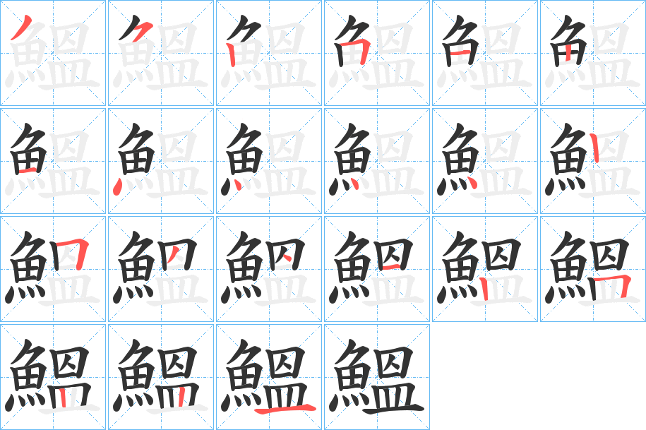 鰮字的笔顺笔画分步演示