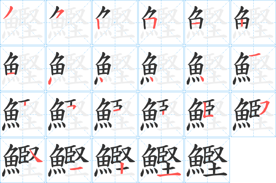 鰹字的笔顺笔画分步演示
