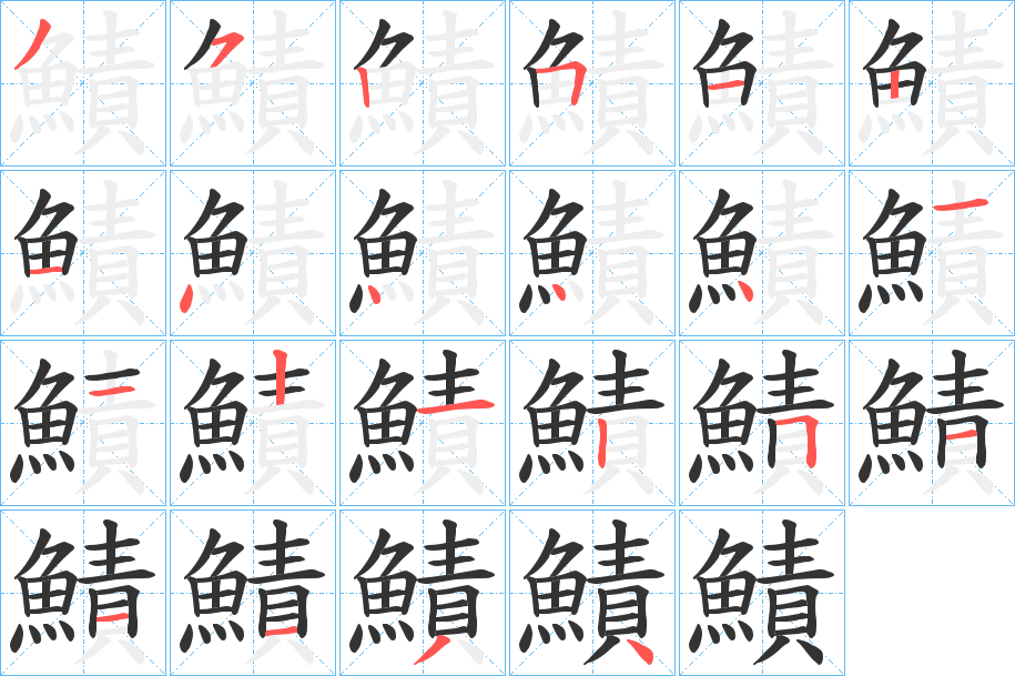 鰿字的笔顺笔画分步演示