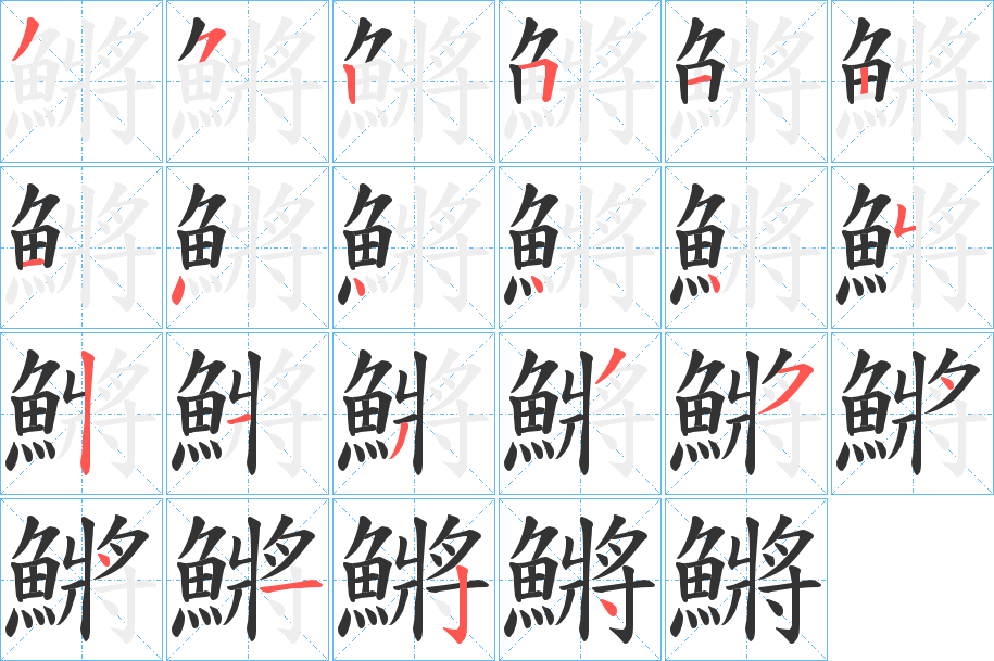 鱂字的笔顺笔画分步演示
