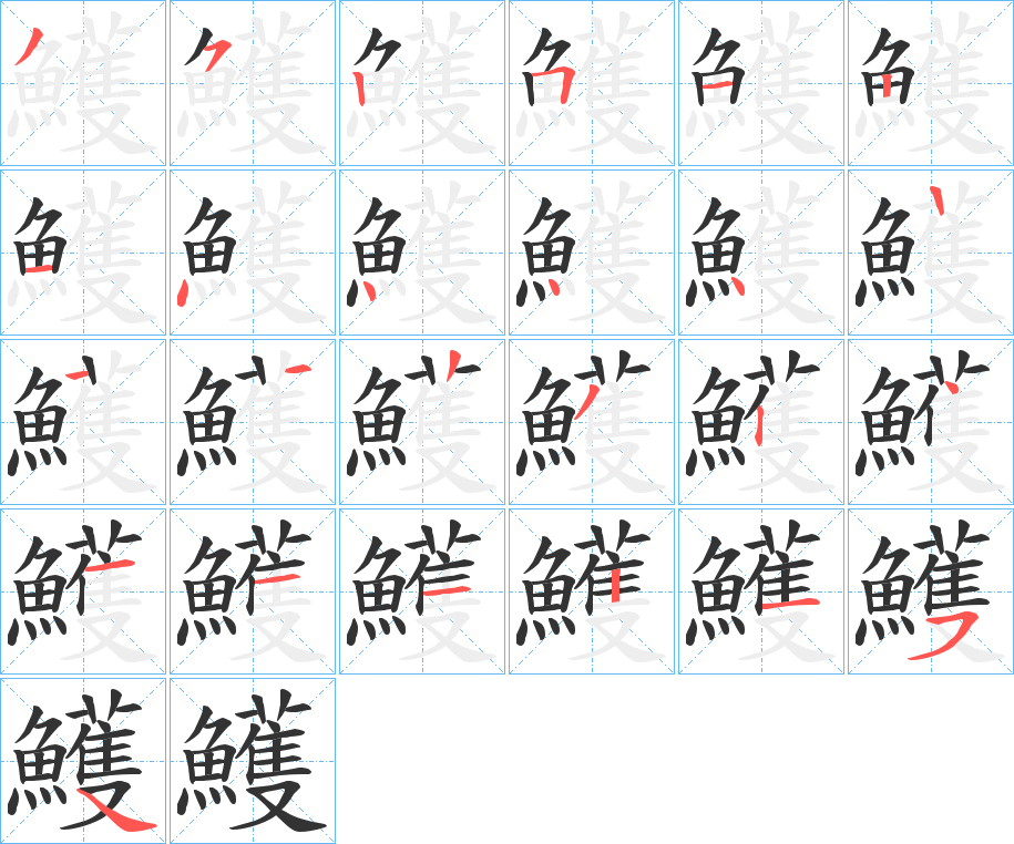 鱯字的笔顺笔画分步演示