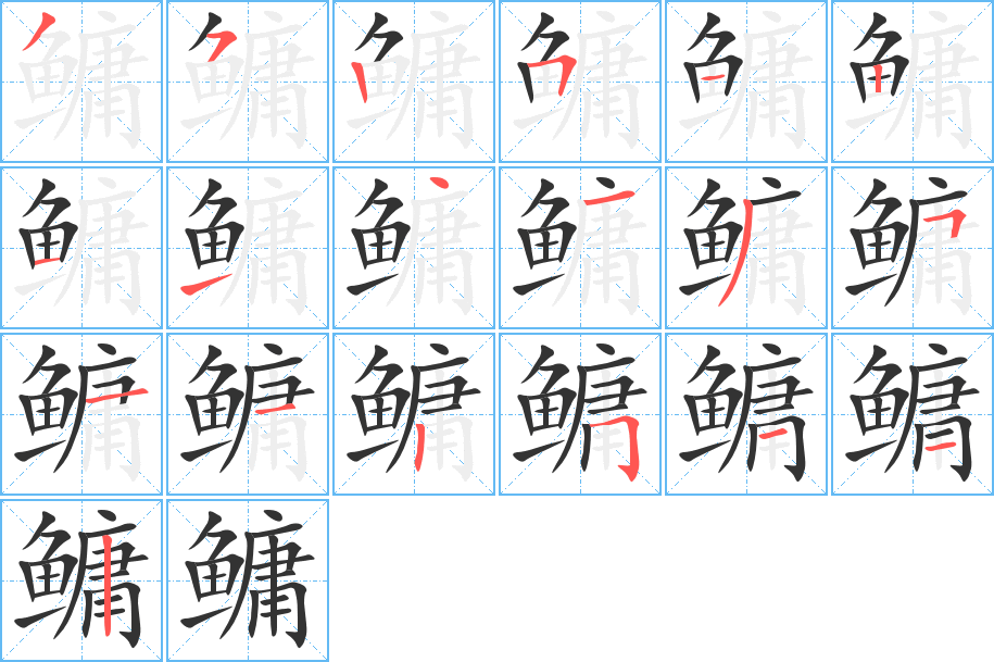 鳙字的笔顺笔画分步演示