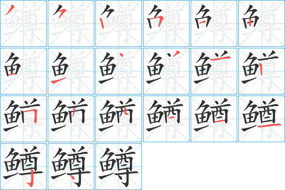 鳟字的笔顺笔画分步演示