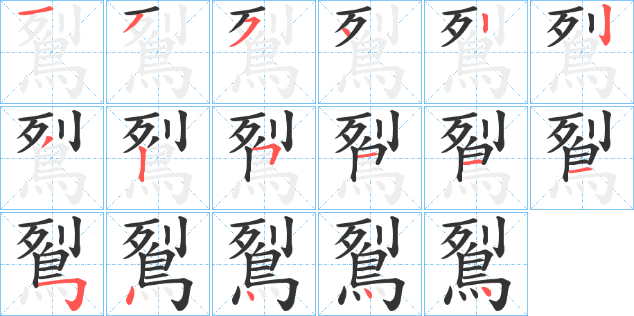 鴷字的笔顺笔画分步演示