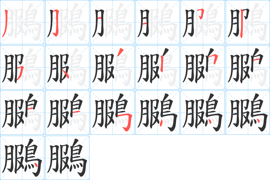 鵩字的笔顺笔画分步演示