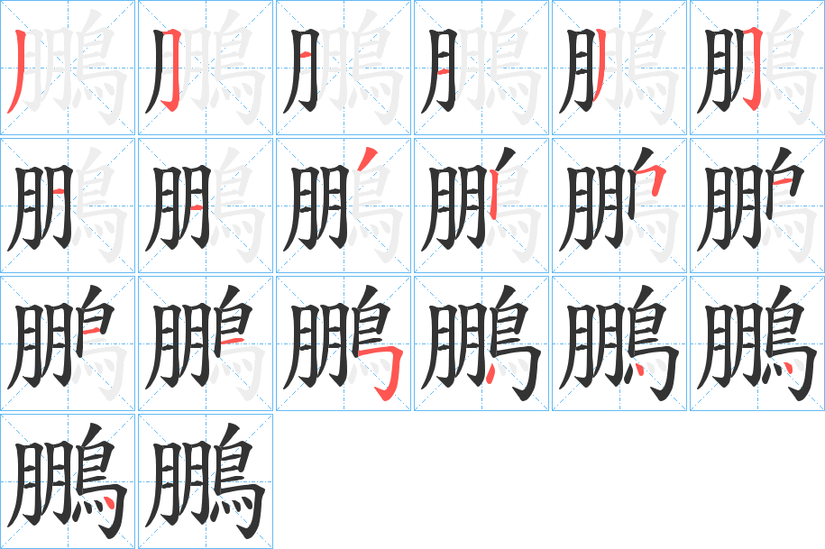 鵬字的笔顺笔画分步演示