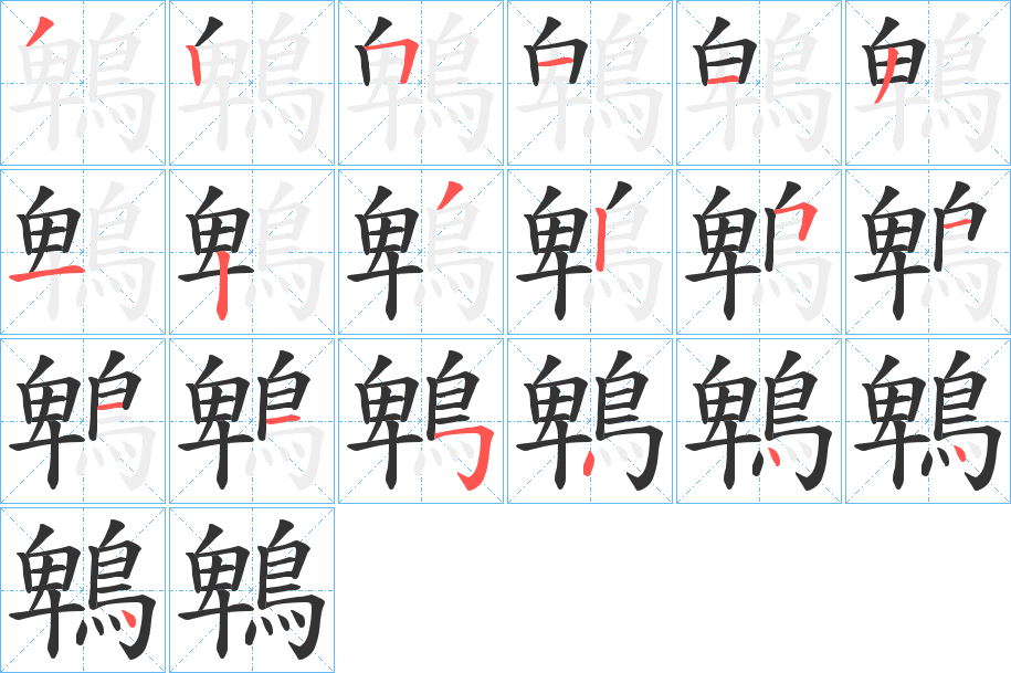 鵯字的笔顺笔画分步演示