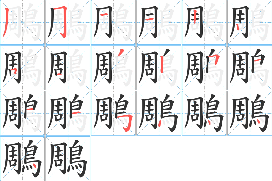 鵰字的笔顺笔画分步演示