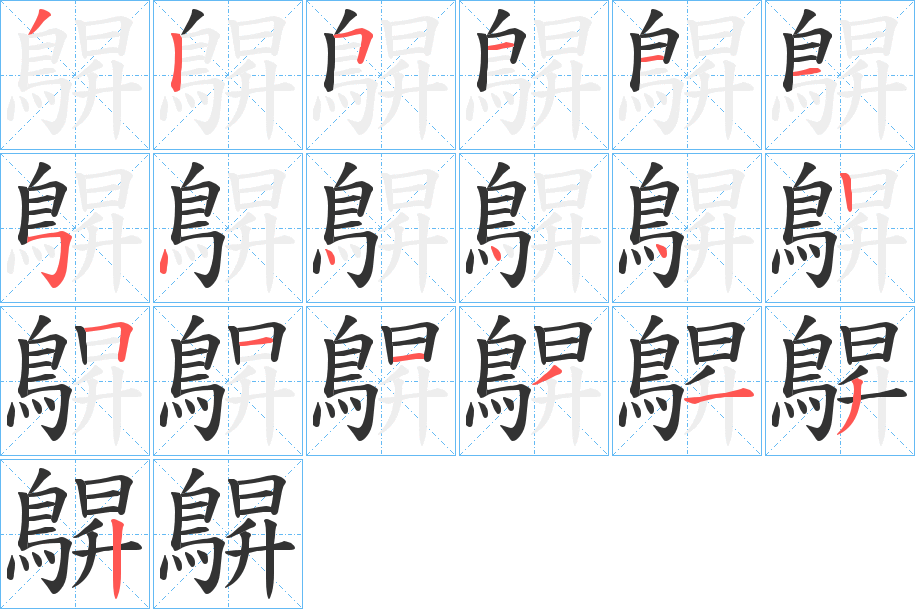 鵿字的笔顺笔画分步演示