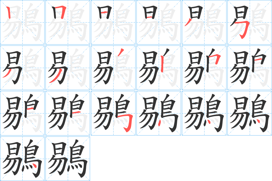 鶍字的笔顺笔画分步演示