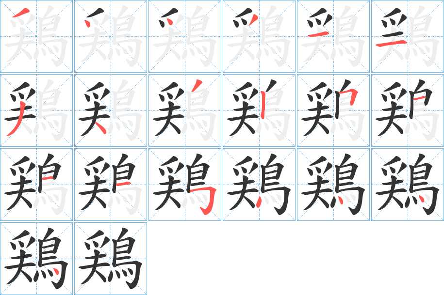 鶏字的笔顺笔画分步演示