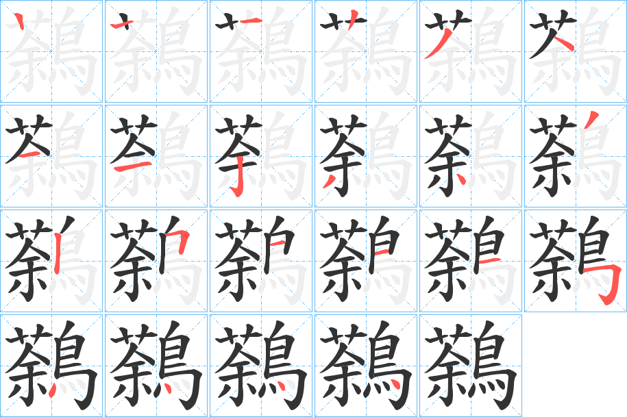鷋字的笔顺笔画分步演示