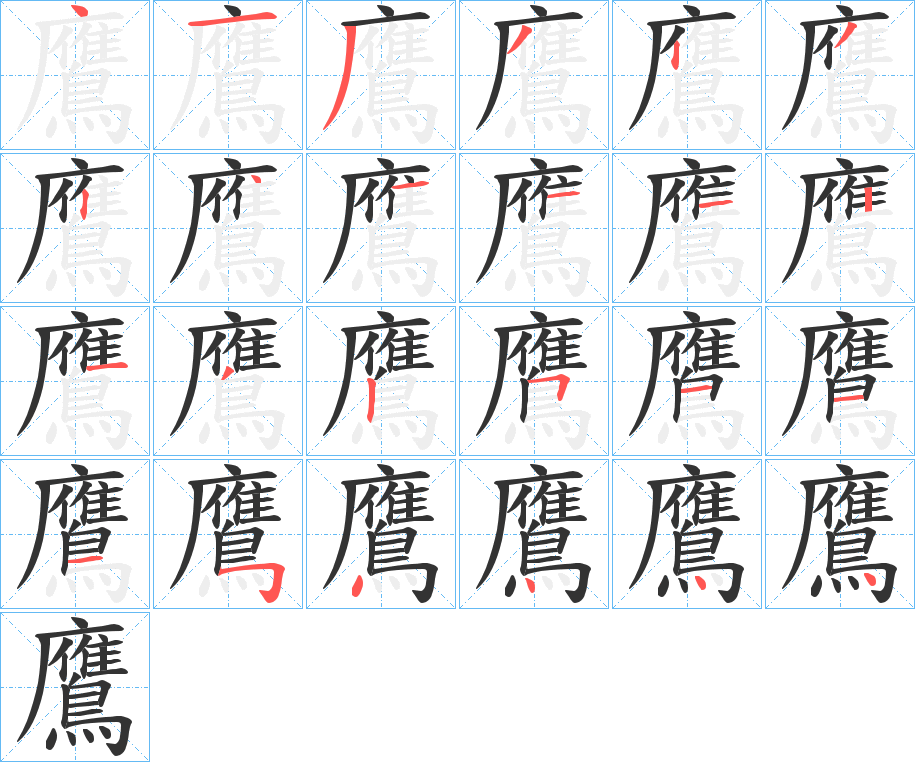 鷹字的笔顺笔画分步演示