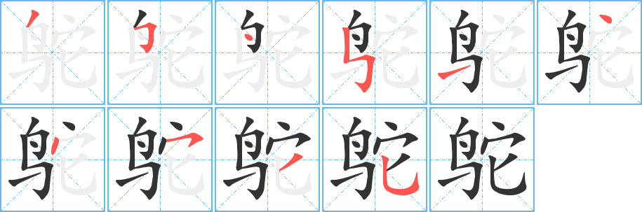 鸵字的笔顺笔画分步演示