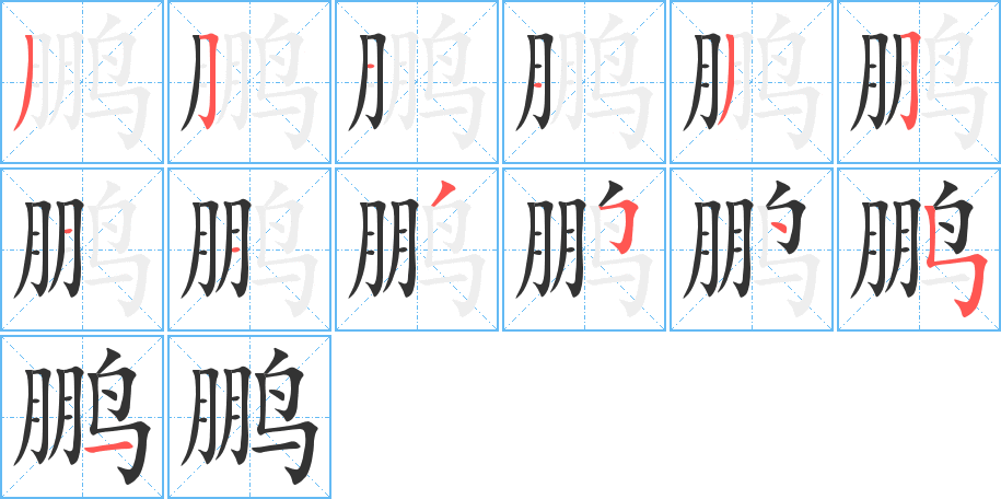鹏字的笔顺笔画分步演示