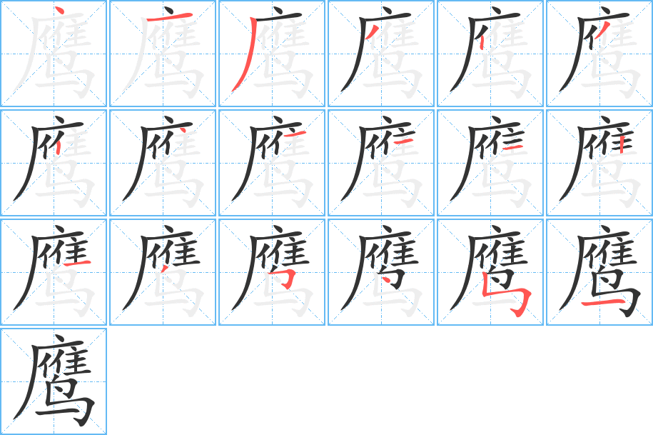 鹰字的笔顺笔画分步演示